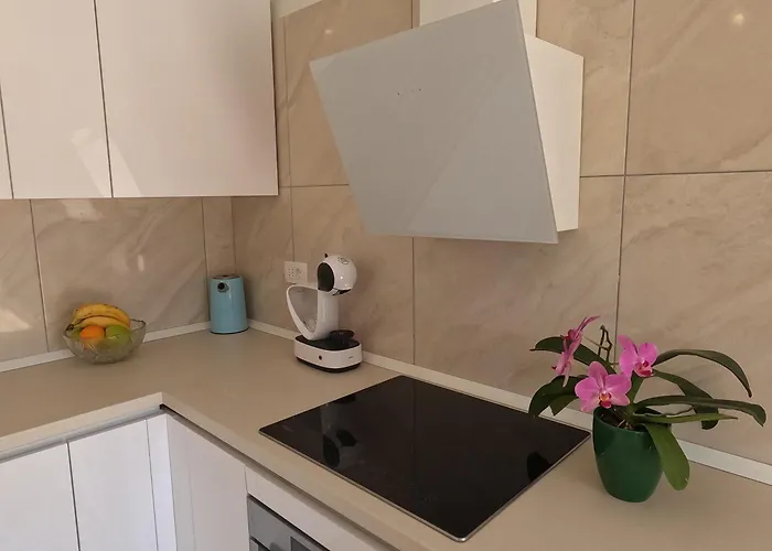 Branislav 1927 아파트 *