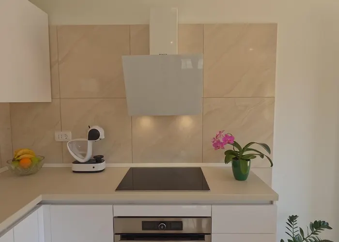 Branislav 1927 빈쿠란